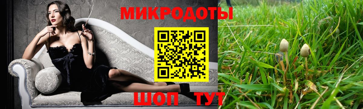 Псилоцибиновые грибы Magic Shrooms Сланцы
