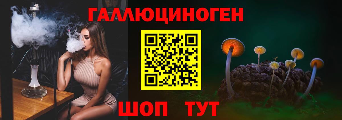 Псилоцибиновые грибы мицелий  продажа наркотиков  Сланцы  Вход с VPN  Галлюциногенные грибы ЛСД 